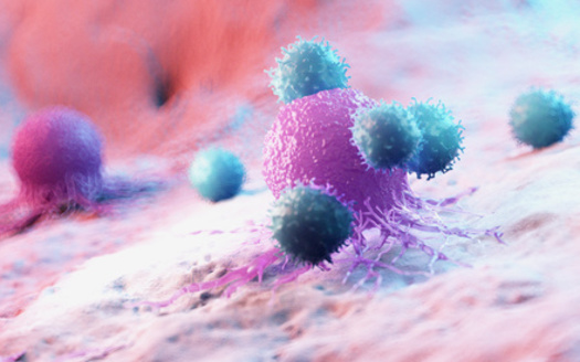 Breast cancer incidence rates are highest in the Northeast, followed by the Midwest and South. But death rates from breast cancer are highest in the Midwest, followed by the South and West, according to the Dana Farber Cancer Institute. (Adobe Stock)