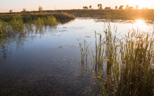 Since 2011, Ohio has allowed companies to lease state land for oil and gas drilling. (Adobe Stock)<br />