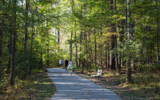 According to a Move Minnesota poll, 86% of respondents report driving as one of the main ways they get around, but nearly one in five drivers would prefer to travel by another mode. Advocates say expanding mass transit or walking options could help. (Adobe Stock)