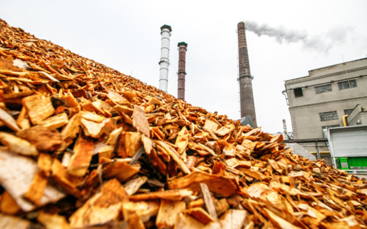 The European Union is the world's largest consumer of wood pellets for energy. (Rokas/Adobe Stock)
