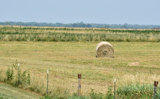 The National Oceanic and Atmospheric Administration and other national agencies will host a webinar focusing on past and current drought conditions and the impact on rainfall, temperature and precipitation in the Midwest and Great Lakes regions. (Adobe Stock)