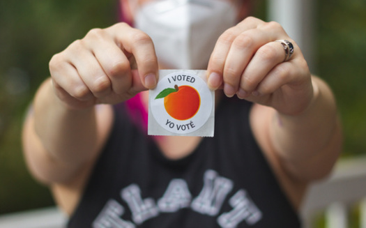 Georgia SB 221 suggests that the USPS's national change of address database could be used to challenge voters. (Matt Bannister/Adobe Stock)