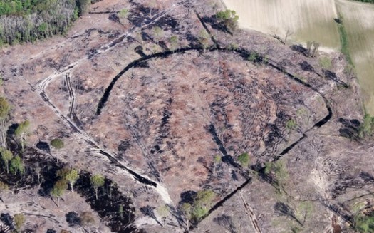 Clear-cutting a forest can leave behind a scarred landscape, as seen in this 2019 photo from an area linked to the Enviva Northampton wood pellet plant in Garysburg, North Carolina. (Dogwood Alliance)