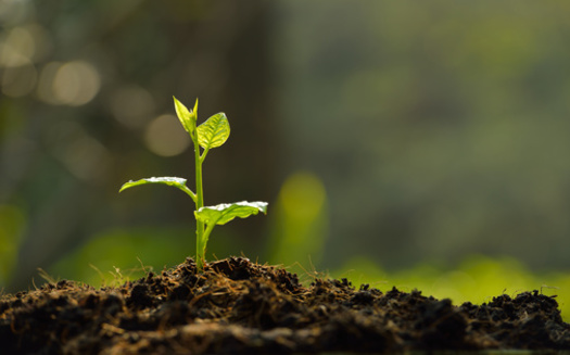 According to a new report, multiple federal agencies collectively manage more than 615 million acres in the Western U.S. (Adobe Stock)