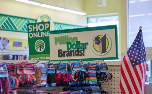 Last year, nearly half of new stores that opened in the U.S. were chain dollar stores, according to a new report from the Institute for Local Self-Reliance. (Adobe Stock)