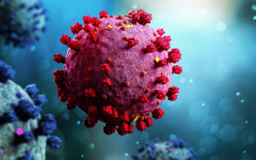In the United States, annual community outbreaks of coronavirus infections typically occur during late fall and winter. There may be variation in this timing between regions, or communities in the same region, according to the Centers for Disease Control and Prevention. (Adobe Stock) 