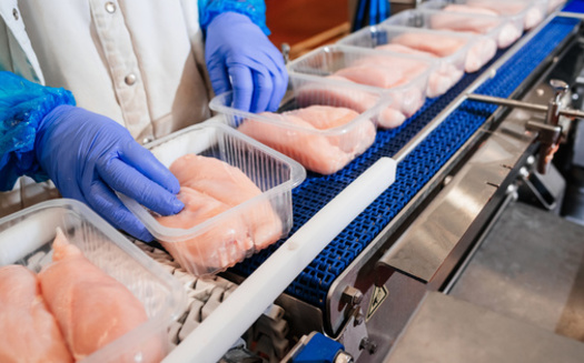 A 2021 Congressional report said tens of thousands of COVID-19 infections, as well as hundreds of worker deaths, were traced to meatpacking plants in the United States at the onset of the pandemic. (Adobe Stock)