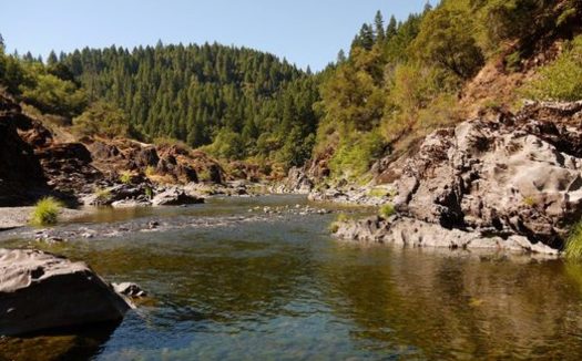 The English Ridge proposed wilderness in Mendocino County is an example of land that could be protected administratively by the Bureau of Land Management, in lieu of congressional action. (Cal Wild)