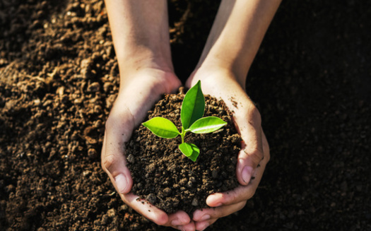 One billion people in more than 193 countries participate in Earth Day activities, according to Earth Day Network. (Adobe Stock)