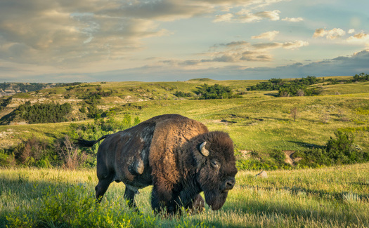 More than 90% of public lands managed by the BLM are currently available to be leased to oil and gas developers. (Adobe Stock)