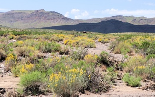 President Joe Biden used his authority under the Antiquities Act to grant permanent protection for Avi Kwa Ame. (Photo courtesy Bertha Gutierrez) 