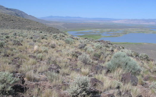The Greater Hart-Sheldon area in southeastern Oregon is home to more than 350 species. (brx0/Flickr)