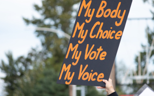 Since the U.S. Supreme Court overturned Roe v. Wade last year, many states have passed near-total bans on abortion, with some states criminalizing the procedure and those who assist others in obtaining one. (traci1/Adobe Stock)
