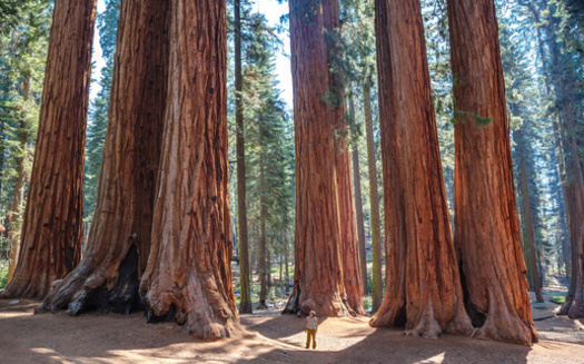 This year's theme for National Parks Week is 