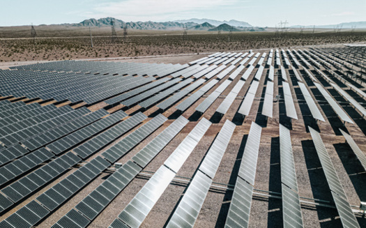 According to the Nevada Wildlife Federation, 33% of the state's electricity needs are currently met by renewable energy. (Adobe Stock)