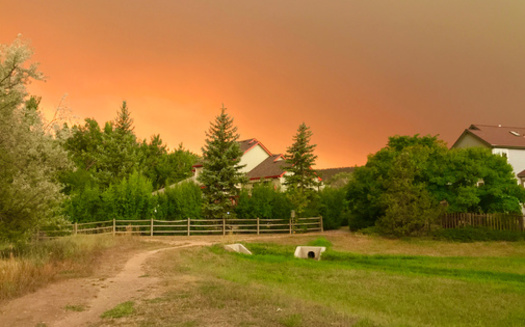 Fire hardening a home also involves managing vegetation within 100 feet of the home. (jryanc10/Adobe Stock)