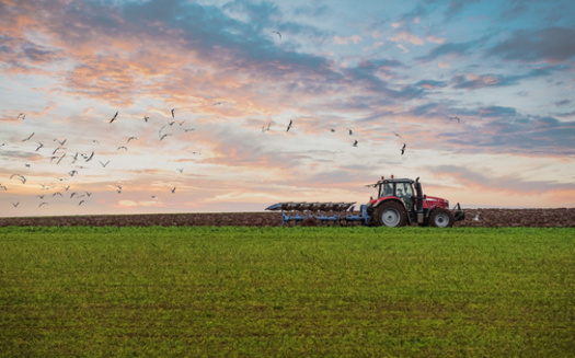 In recent weeks, House and Senate committees in Congress have been holding hearings on the Farm Bill, which faces a fall deadline for reauthorization. (Adobe Stock)