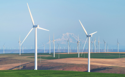 Wind energy makes up about 14% of the electricity generated in the state. (Danita Delimont/Adobe Stock)