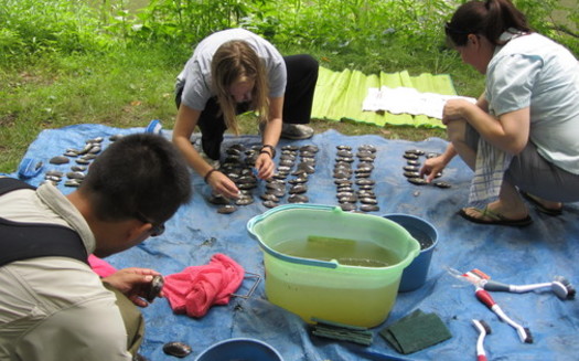 Volunteers with the Partnership for the Delaware Estuary place numbered tags on freshwater mussels so they can be tracked in the Delaware River. (Photo courtesy Partnership for the Delaware Estuary)