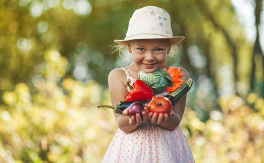 Colorado school districts creating a local food advisory council will be eligible for funding to purchase food for school meals directly from local farmers and ranchers. (Adobe Stock)