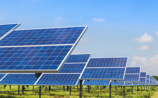 The U.S. Department of Energy Solar Energy Technologies Office is researching the opportunities and tradeoffs of agrivoltaics. (Adobe Stock)