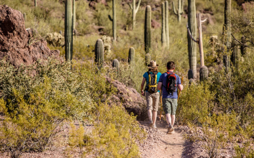 According to Arizona Interagency Wildfire Prevention, starting in late April or May many areas across the state will implement seasonal fire restrictions and then typically rescind them in September or October. (Scott Griessel/Adobe Stock) 