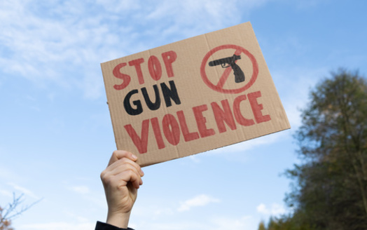 As the nation grapples with mass shooting events around the country, statehouses are under pressure to adopt gun restrictions with such laws unlikely to pass a divided Congress. (Adobe Stock)