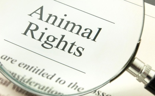 A trial involving three animal rights activists, charged with their entry into a breeding and researching facility in Wisconsin, is scheduled to begin in November. (Adobe Stock)