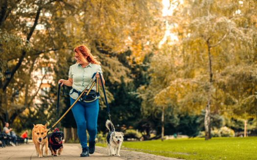 An environmental advocate says nature and quiet spaces are important to businesses looking for new locations to expand or build. (Adobe stock)