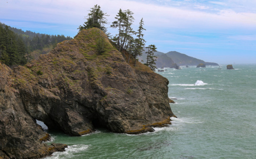 Cape Foulweather is in Lincoln County south of Depoe Bay. (Mitch Meseke-Wirestock Creators/Adobe Stock)