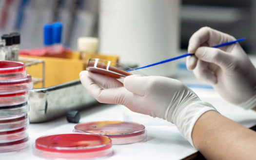 According to Centers for Disease Control and Prevention, every 15 minutes a person in the United States dies from an infection resistant to treatment with existing antimicrobial drugs. (Adobe Stock)