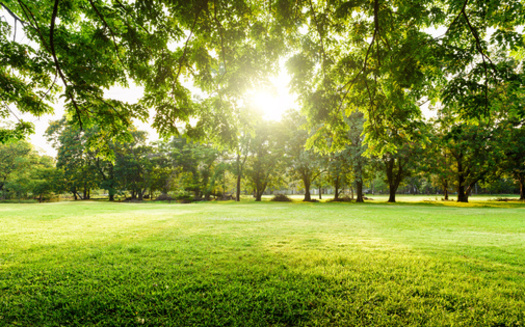 Researchers found cities with the highest ParkScore rankings are healthier places to live based on the metrics of physical inactivity and mental health. (Adobe Stock)