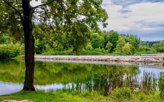 There used to be twice as many marshes and wetlands in Pennsylvania as there are today, according to the U.S. Geological Survey. (Christina Saymansky/Adobe Stock)