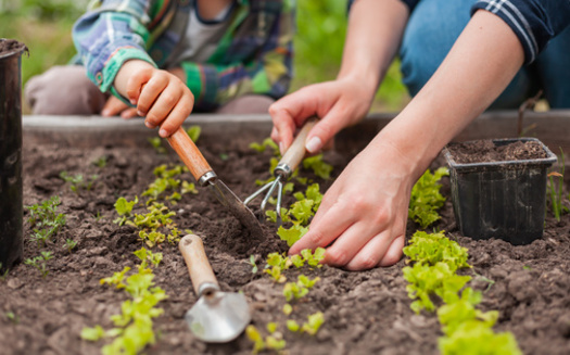 Guns to Gardens volunteers in New Hampshire are working against what are considered among the weakest gun laws in the country. State law does not require background checks on all gun sales, or limit access to firearms by people in crisis. (Adobe Stock)<br /><br />