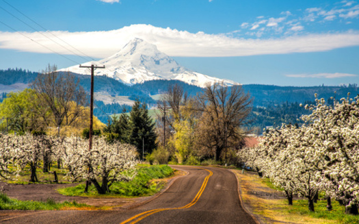 The Biden Administration's investment in clean energy for rural America is the largest since the New Deal. (Robert Crum/Adobe Stock)