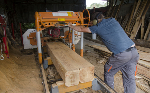 The Urban Wood Network was formally established in 2016 after multiple state chapters were awarded a USDA Forest Service grant. (Adobe Stock)