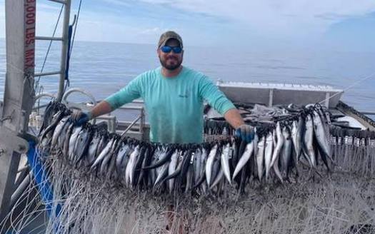 Barry Walton, a Ph.D. student at Florida State University, is studying how two popular recreational fish species, red drum and spotted seatrout, share resources in the Apalachicola Bay System. (Barry Walton) 