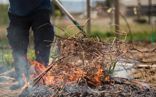 Controlled burns were part of the practices of the indigenous people to Washington state for maintaining the landscape. (heidi/Adobe Stock)