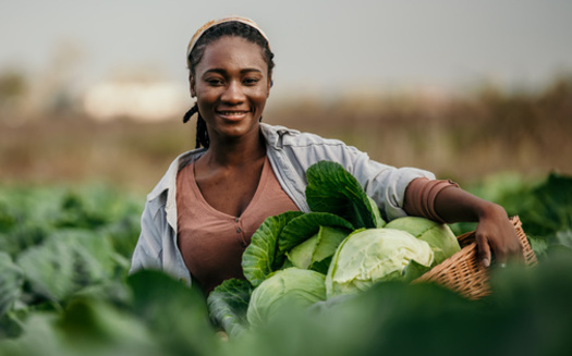 In the next decade, as much as 400,000 acres of Maine farmland will change hands, according to Maine Farmland Trust. The 2017 Census of Agriculture revealed that only 11% of Black farmers in Maine own the land that they cultivate. (Adobe Stock)<br /> <br /><br />(Adobe Stock) 