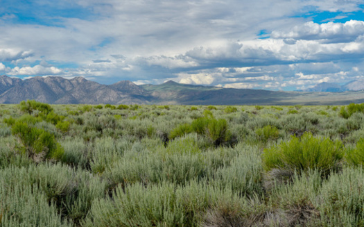 In addition to projects supported with the Inflation Reduction Act funding, the BLM will prioritize projects funded under the Bipartisan Infrastructure Law in the respective landscape. (Adobe Stock)