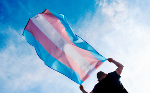 Some 20 states have passed laws that either ban or restrict gender-affirming care for transgender youth. (Adobe Stock)