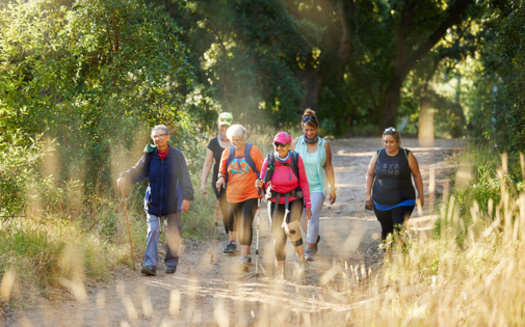 AARP experts say greater mental well-being, achieved through activities such as hiking, is associated with reduced dementia risks. (Adobe Stock)