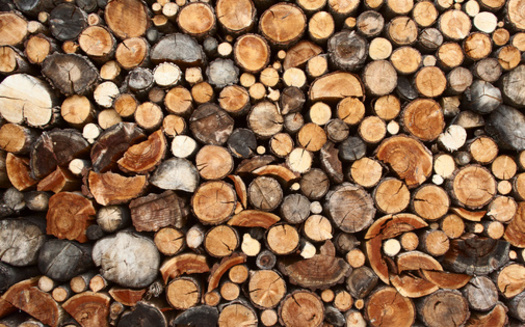 Burning wood releases fine particulate matter, which is easily inhaled and can lodge deep in the lungs, where it can cause chronic heart and lung disease and trigger asthma attacks, heart attacks, and premature death. (Adobe Stock)