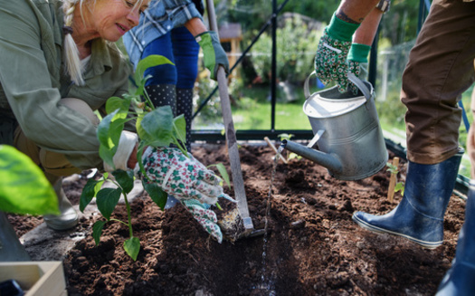 The Winchester Community Library has until Nov. 30 to build out its new garden. (Halfpoint/Adobe Stock)