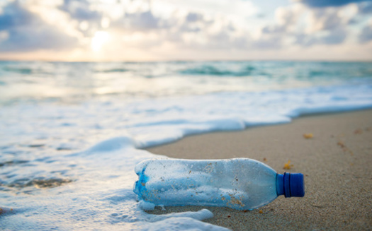 People can cut down on single-use plastics by avoiding bottled soft drinks and bottled water, and bringing reusable jugs instead. (Lazyllama/Adobe Stock)<br />