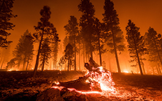 According to the Utah Division of Forestry, Fire and State Lands, wildfires scorched more than 25,000 in 2022, but only 1,104 of those acres burned as a result of natural causes. (Adobe Stock)