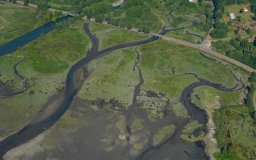 The Duckabush River is cut off from nearby floodplains and wetlands by roads on the Olympic peninsula. (Washington Department of Ecology)