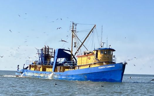 Louisiana has the most narrow menhaden buffer zone among nearby Gulf states. (Theodore Roosevelt Conservation Partnership)