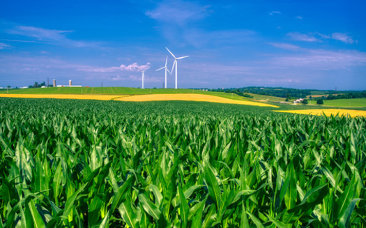 In 2022, wind turbines were the source of about 10.2% of total U.S. utility-scale electricity generation, according to the U.S. Energy Information Administration. Wind now accounts for 64% of Iowa's total energy production. (Adobe Stock)