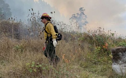 Since the year 2000, California has experienced 15 of its 20 most destructive wildfires on record. (Ryan Reed/FireGen)